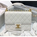 Chanel Acrylic Beads Goatskin Small Falp Bag AS0585 White 2020 Collection AQ01380