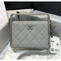 Chanel Lambskin & Silver-Tone Metal Clutch AS1732 Grey 2020 Collection AQ04197