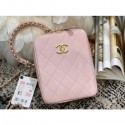 Chanel Original Small Sheepskin camera bag AS1753 pink AQ01502