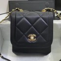 Chanel Quilted Lambskin Vertical Flap Bag AS1895 Black 2020 Collection AQ02331