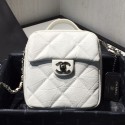 Chanel Quilted Vintage Leather Camera Case Bag AS1323 White 2020 Collection AQ01473