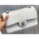 Replica Chanel Python Classic Flap Medium Bag A1112 10 AQ01589