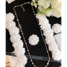 Chanel Necklace 27 2020 AQ00590