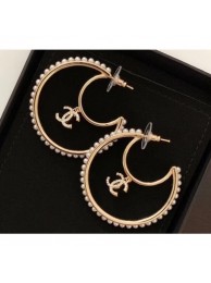 Chanel Earrings 169 2019 AQ02592