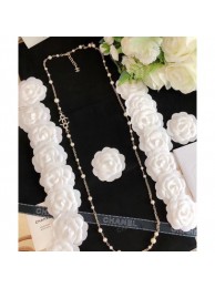 Chanel Necklace 27 2020 AQ00590