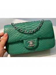 Chanel Python Classic Flap Small Bag A1116 14 AQ00856