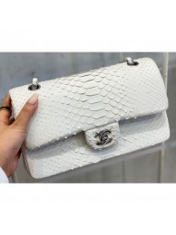 Replica Chanel Python Classic Flap Medium Bag A1112 10 AQ01589